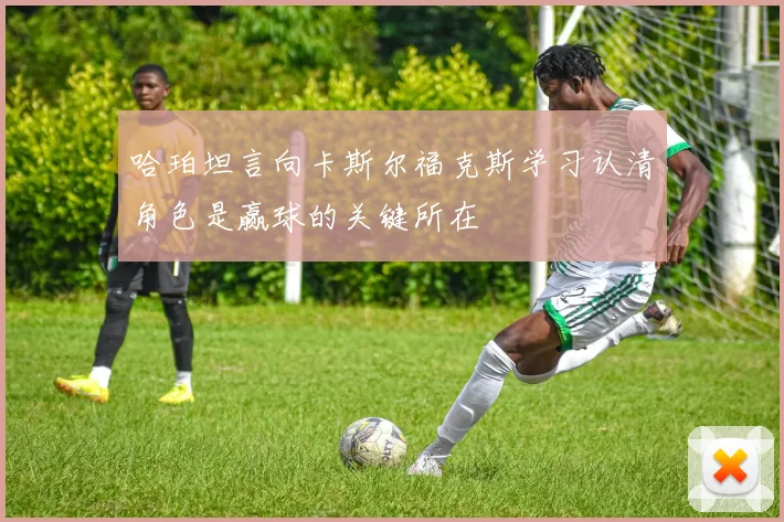 哈珀坦言向卡斯尔福克斯学习认清角色是赢球的关键所在